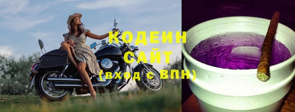 хмурый Белокуриха