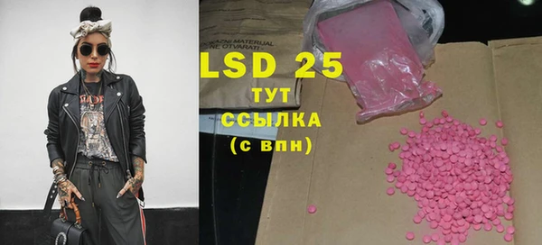 хмурый Белокуриха