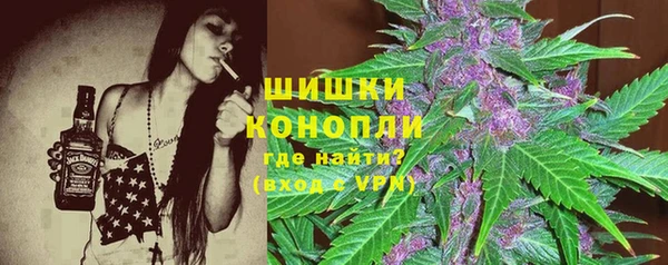 хмурый Белокуриха