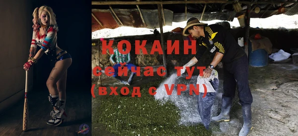 хмурый Белокуриха