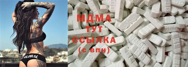 хмурый Белокуриха