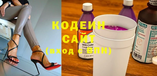 хмурый Белокуриха