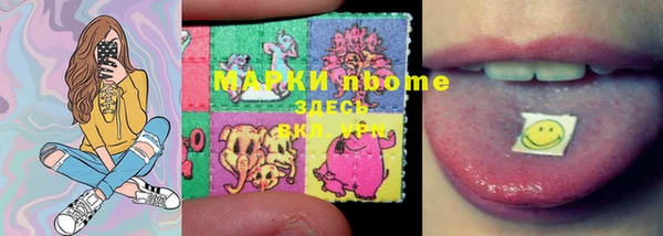 хмурый Белокуриха