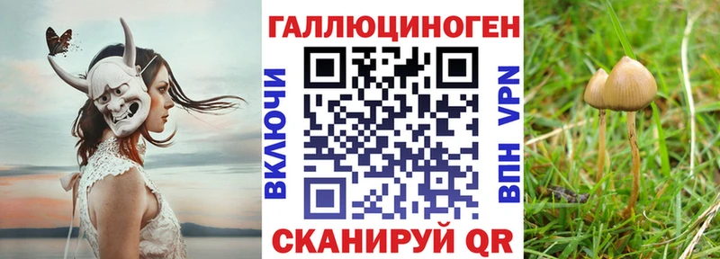 mega как зайти  как найти закладки  Севск  Галлюциногенные грибы Psilocybe 